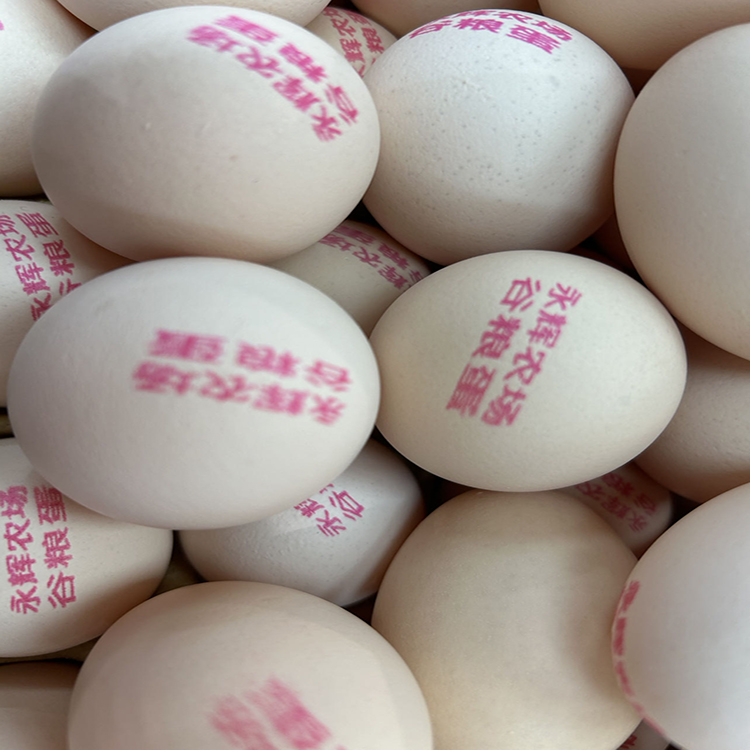 Multi-Head egg product labeling of TIJ printer