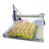 Automatic High Capacity TIJ Printer for Eggs,Can IPS-8220E